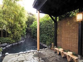 Ukiha Ryokan 3*
